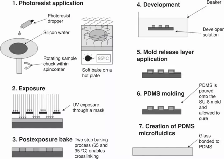 利用 SU-8 模具制备 PDMS 微流控器件的工艺流程