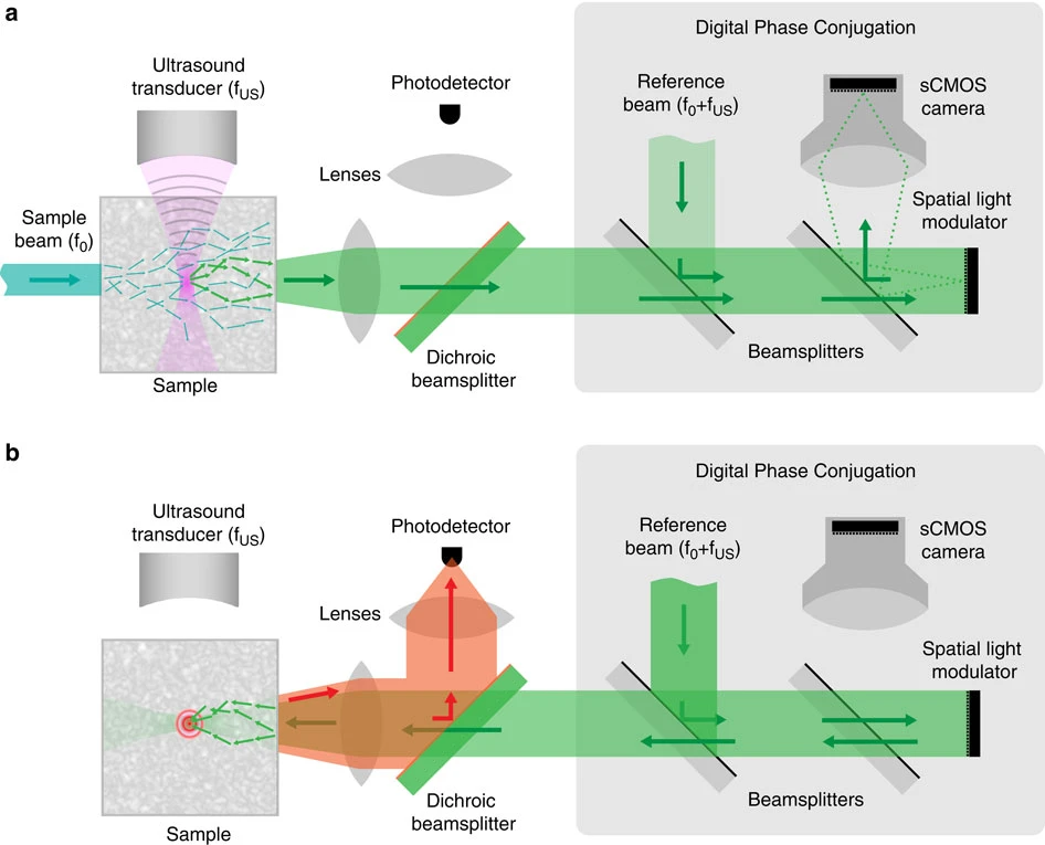  Digital TRUE 的基本原理