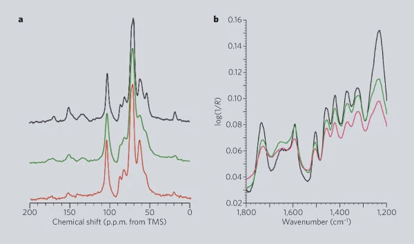 Spectroscopy of maple wood samples from antique violins.