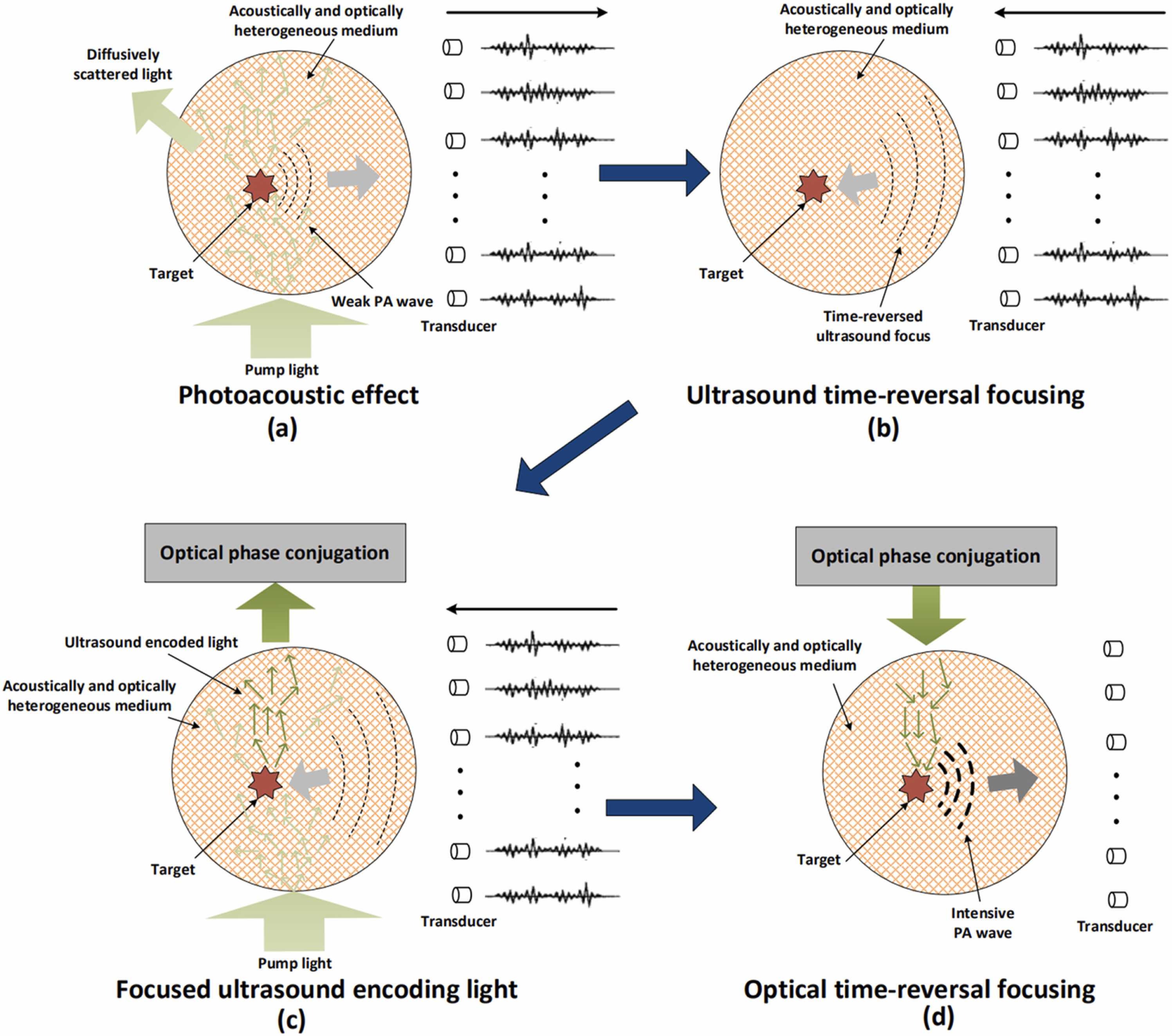  TRPA-TRUE 的基本流程